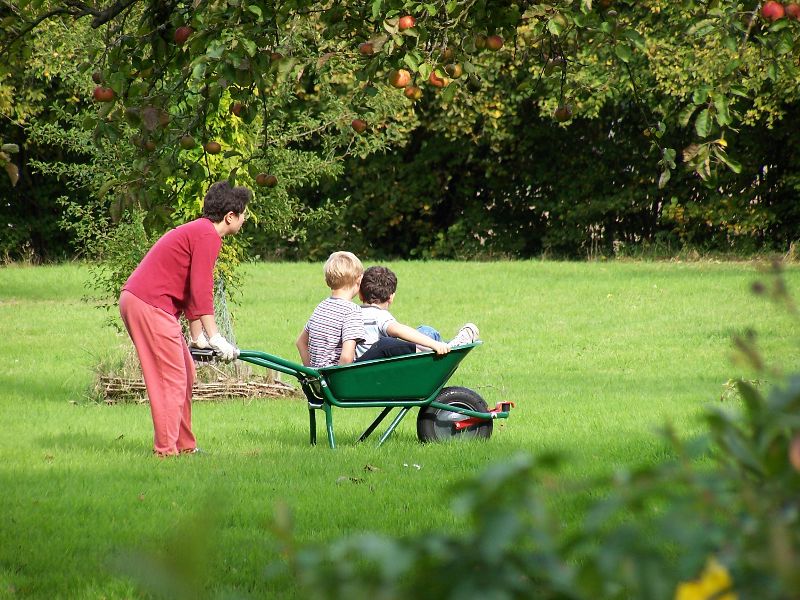 00 - Bonheur simple - 800x600