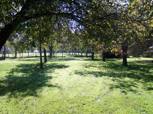 Le Clos de la Risle - Vergers