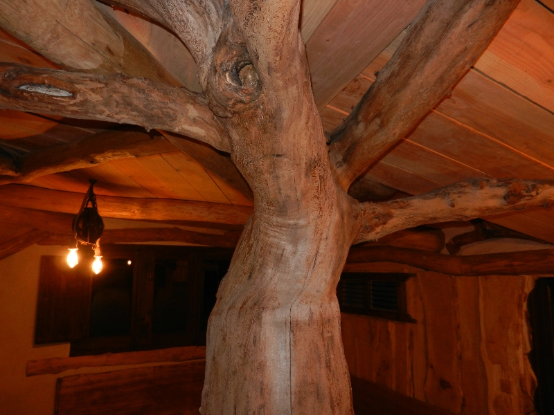 Salon - Vieux pommier_800x600